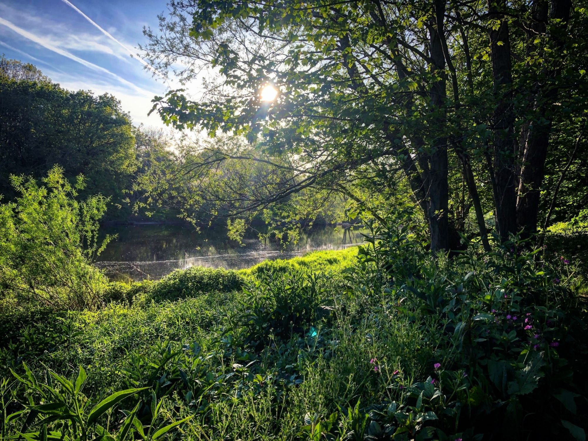 HayonWye Canoe Hire Wye Valley Canoes want to canoe?