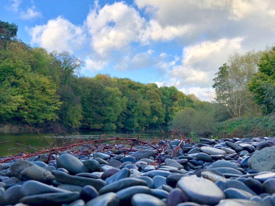Brockweir Canoe Hire Monmouth Canoes want to canoe?