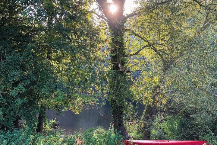 Red kayak on grass by river, sun shining through trees.