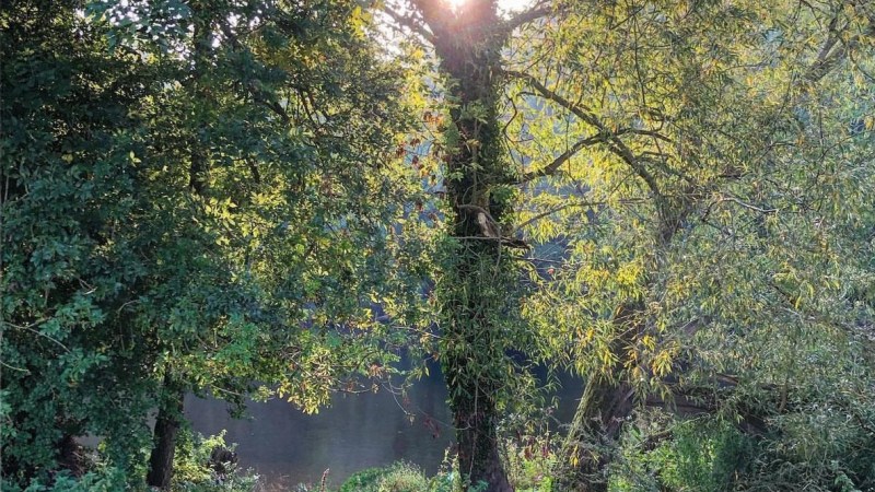Red kayak on grass by river, sun shining through trees.