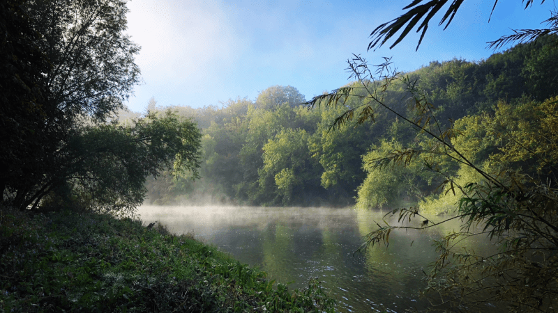 Mist rises over a tranquil river surrounded by lush green trees under a clear blue sky.