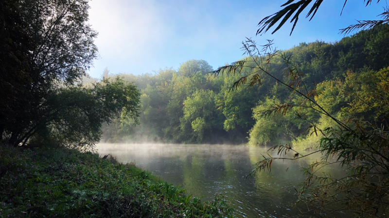 Misty river in forested area with green trees and a clear blue sky.
