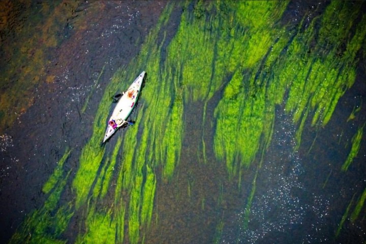 Kayak on a river with bright green algae and clear water.