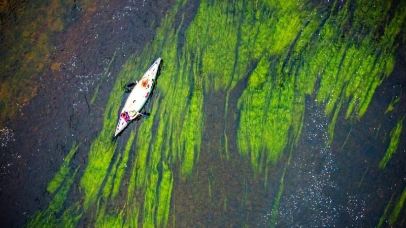 Kayak on a river with bright green algae and clear water.