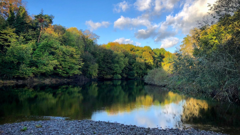 A calm river with tree reflections under a blue sky with clouds.