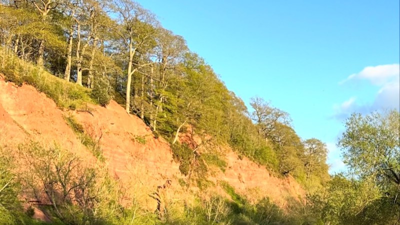 Two people kayaking on a river beside a rocky cliff with trees under a blue sky and moon.