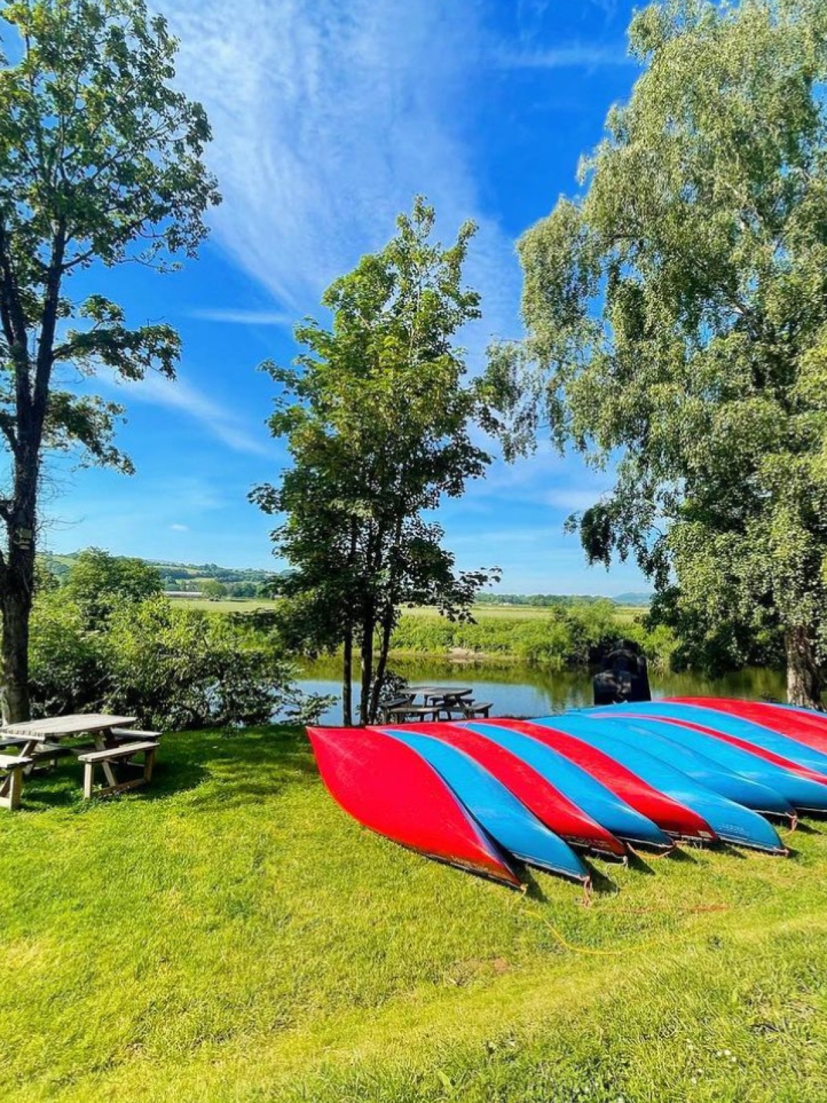 Row of red and blue canoes on grass near a river, surrounded by trees and blue sky.