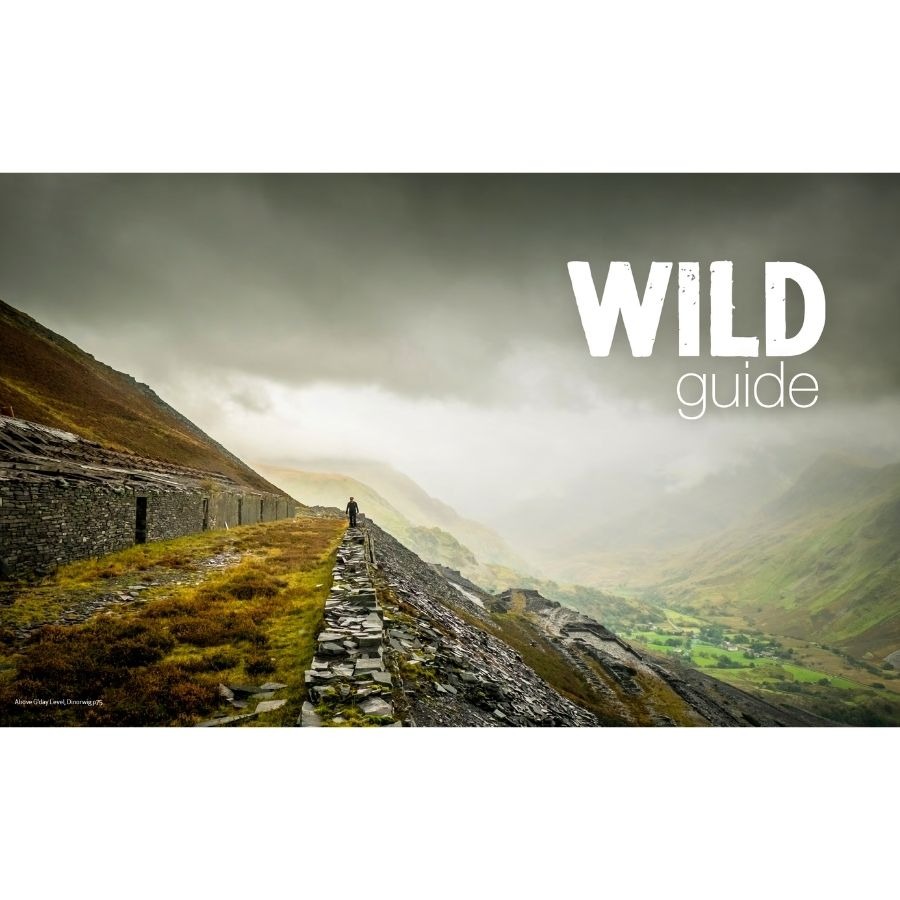Person walking on mountain ridge under dark clouds with 'WILD guide' text.
