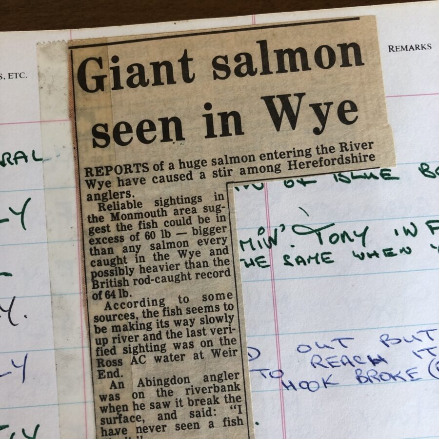 Old newspaper clipping about a giant salmon sighting on a handwritten notebook page.