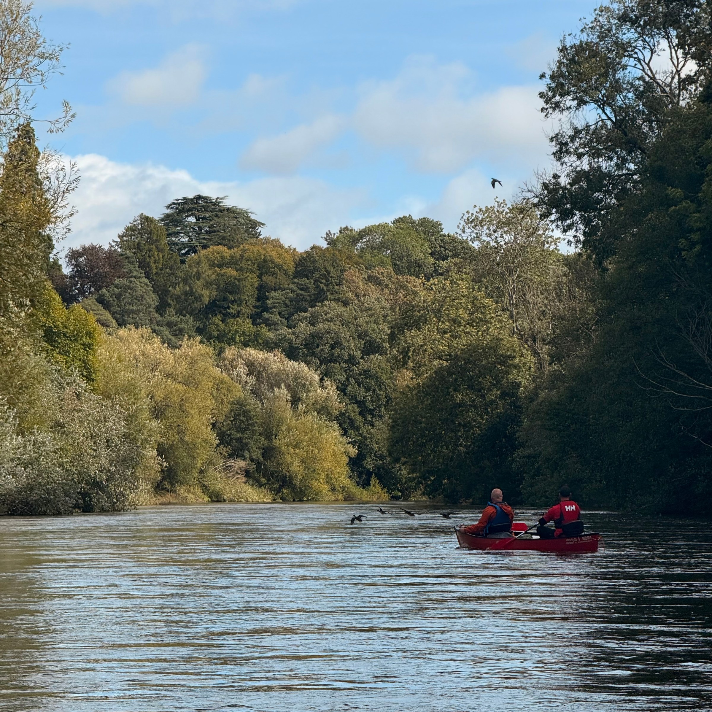 Two people canoeing on a river surrounded by trees under a blue sky.
