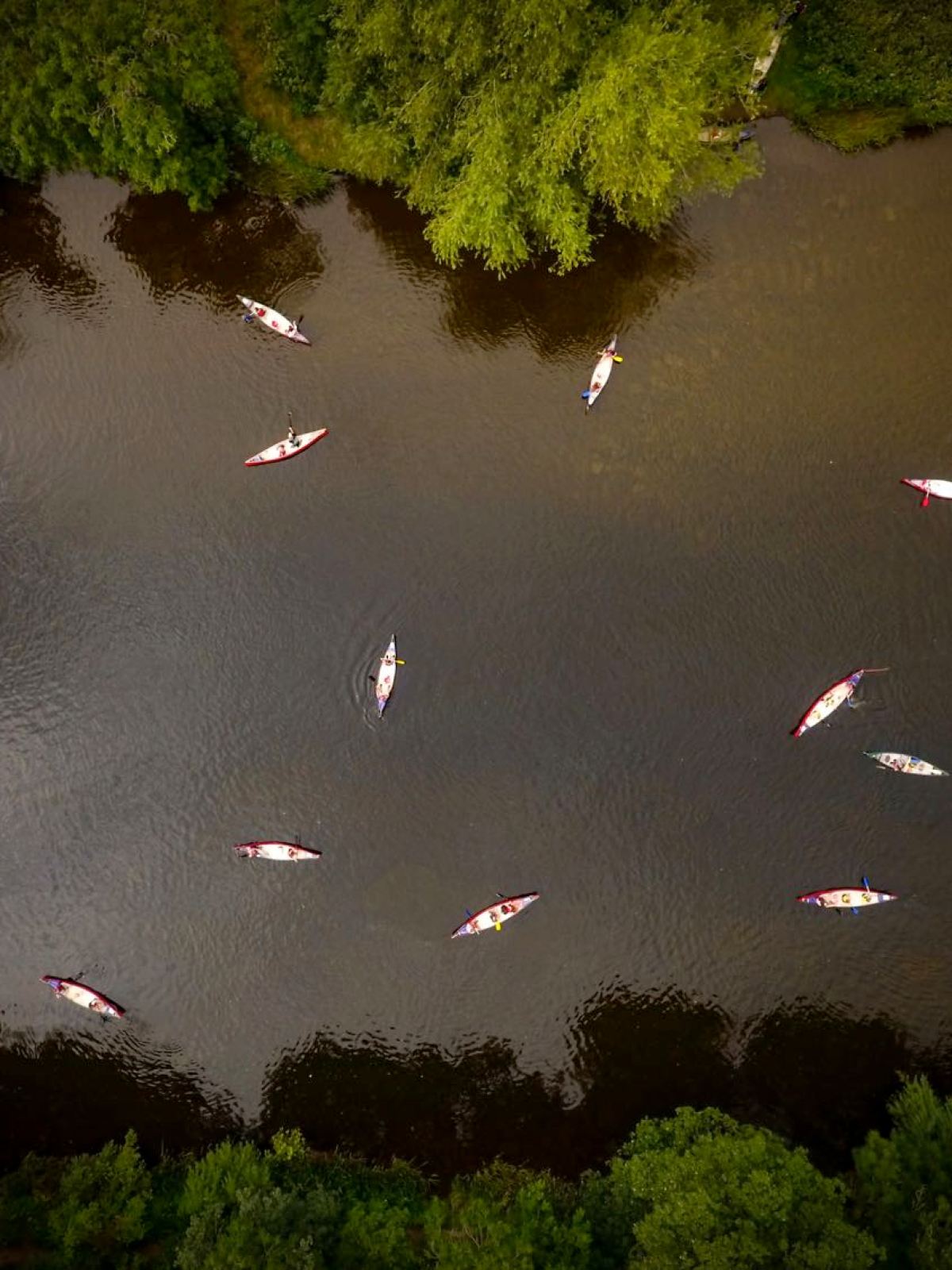 Aerial view of kayakers on a calm river surrounded by lush green trees.