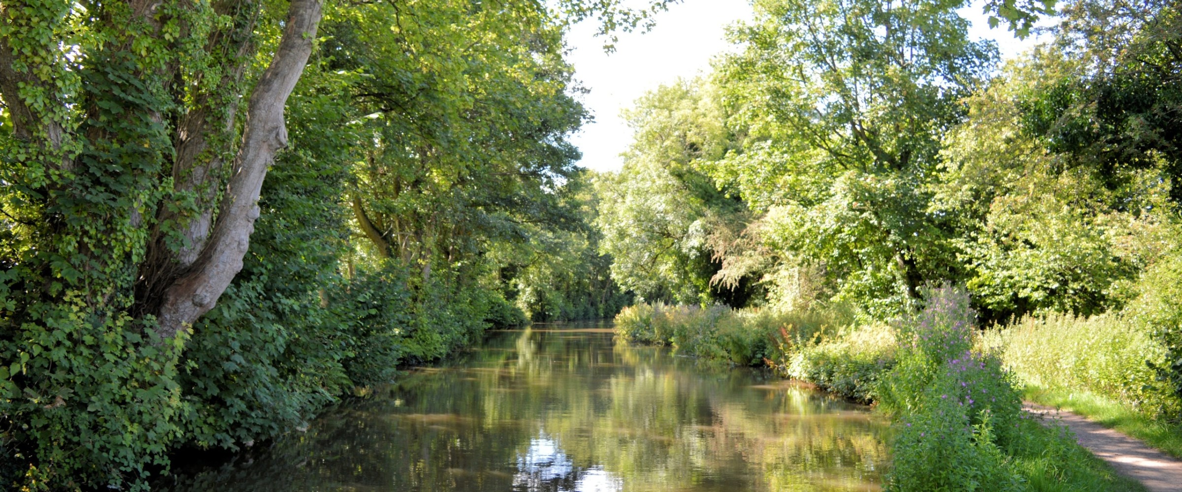 A tranquil canal lined with lush green trees and a narrow footpath on a sunny day.