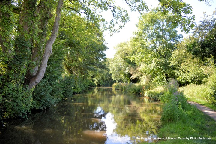 A tranquil canal lined with lush green trees and a narrow footpath on a sunny day.
