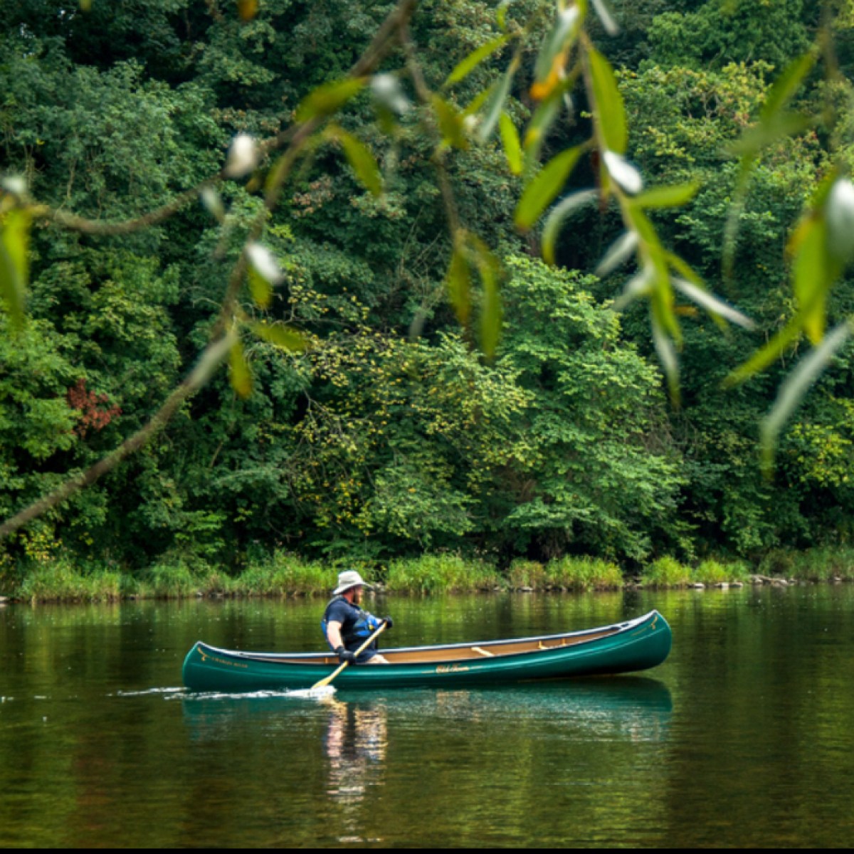 Person paddling a green canoe on a calm river, surrounded by lush greenery.